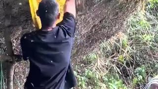 HONEY COLLECTOR FRIENDSHIP WITH BEES