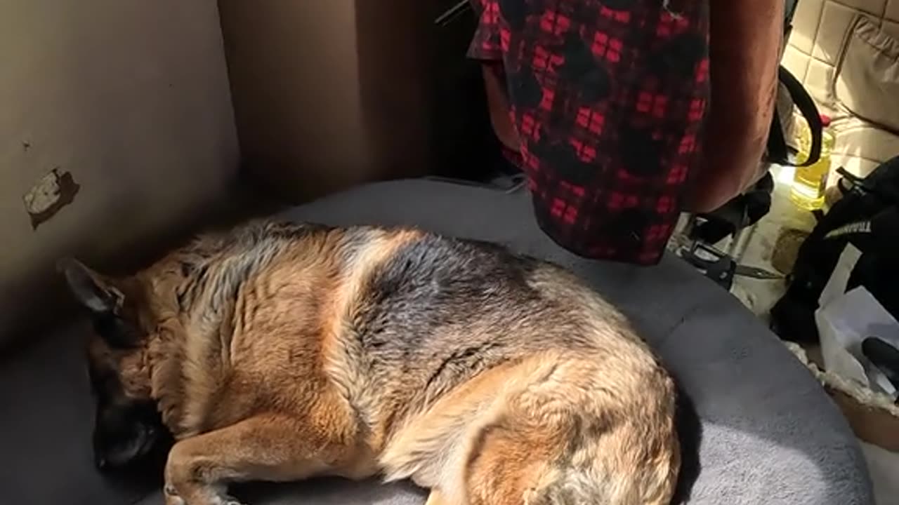 💪Tuesday👑Devotional🐕
