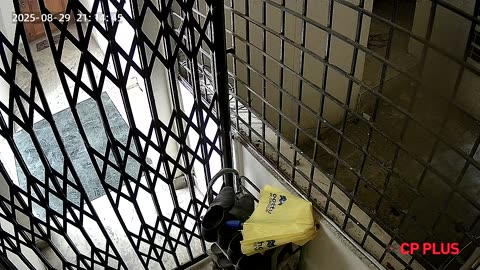 😱👻 Can Anyone Explain This Activity Captured Yesterday? | TheHauntingHour