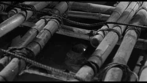 "Creature from the Black Lagoon" Starring Richard Carlson and Julie Adams