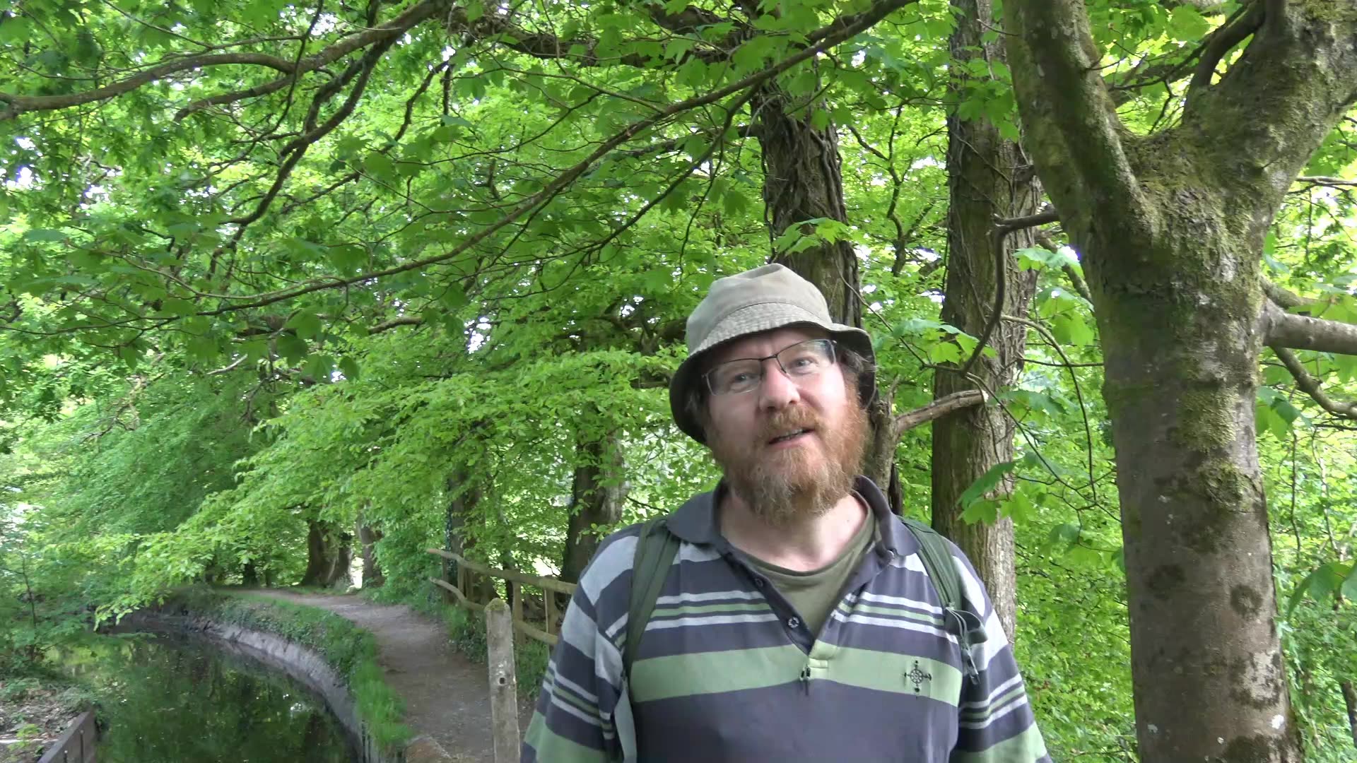 From Yelverton by bus to Tavistock Then Drakes Canal Walk with Jonathan 8th May 2025