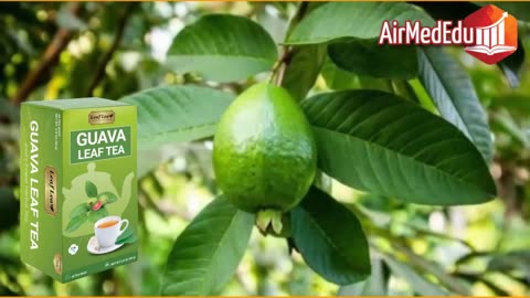 How to Make Guava Leaf Tea