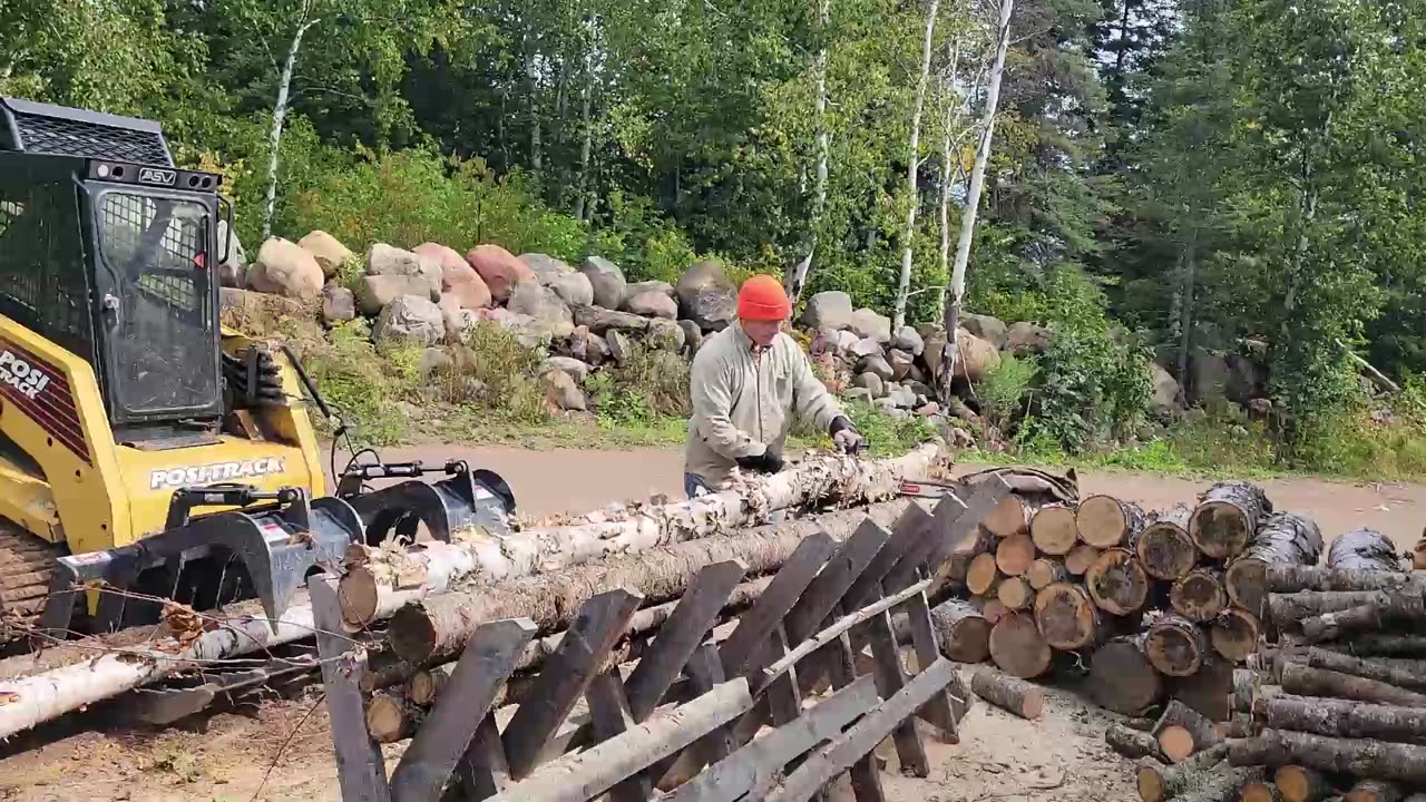 Putting Up Firewood 2025