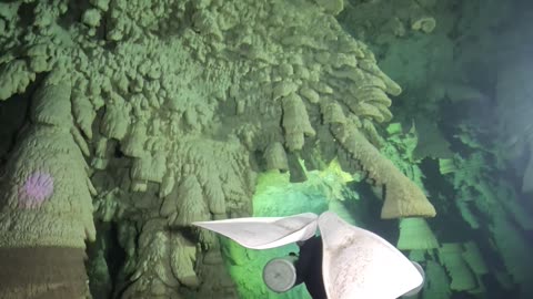 Bell-Shaped Stalactites in Mexico's Cenote Zapote