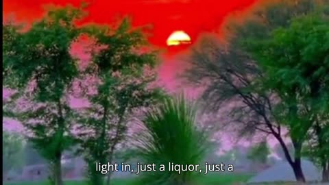 Let the Light In