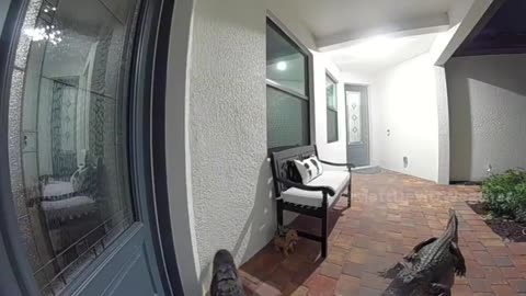 Knock At The Door