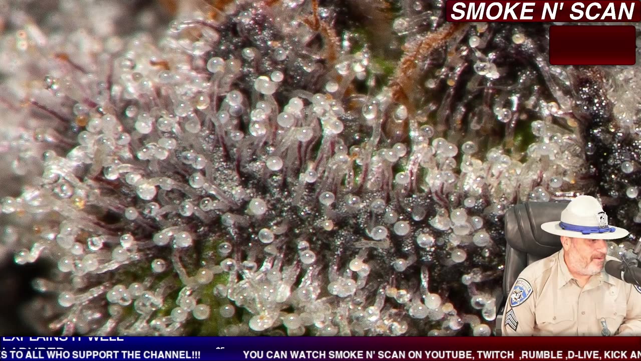 LIVE POLICE CHASE NOW ! CHP IN PURSUIT OF DUI DRIVER #POLICECHASE #POLICEPURSUIT