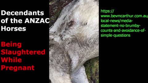 Aus Gov - Murdering the decendant Brumbies of the Anzac