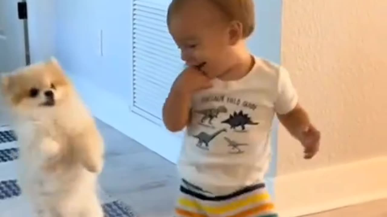 Dogs play with Babies..funny