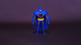 DC Direct The New Batman Adventures Wave 4 Blue Cowl Batman Figure