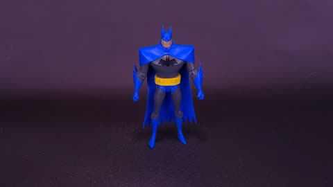 DC Direct The New Batman Adventures Wave 4 Blue Cowl Batman Figure