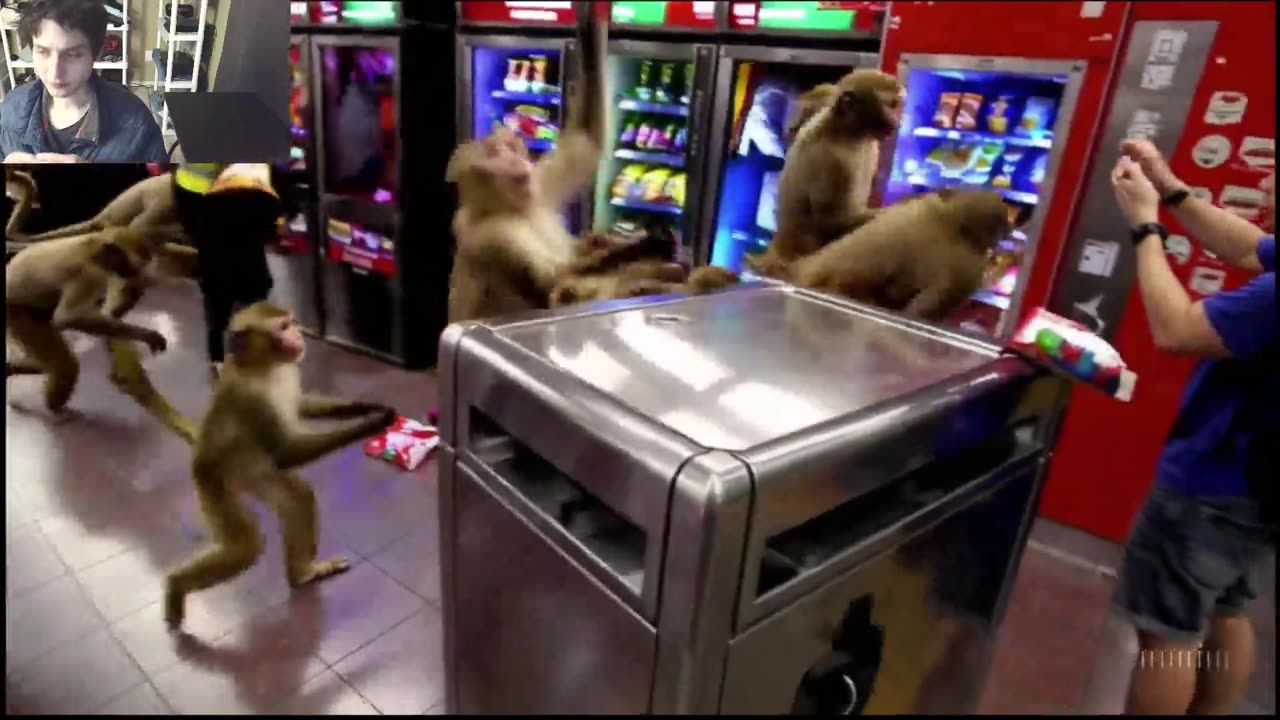 Outtake #1,062 Of Over 5 Monkeys Roam Around A Subway Station Fake Funny Parody Video
