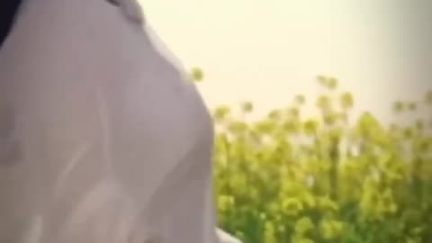Old Love Song #movie #moviesong #shorts #moviesongvideo #rumbleshorts #viral #trending