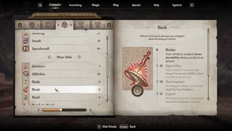 Oblivion Remastered
