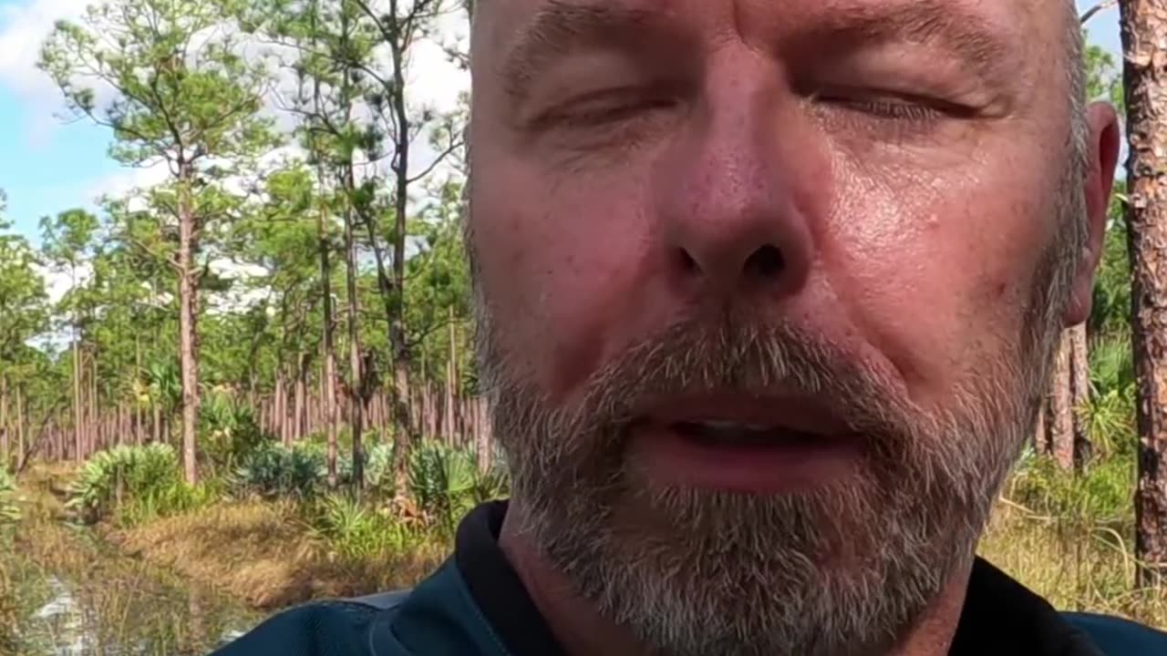 Florida Sand