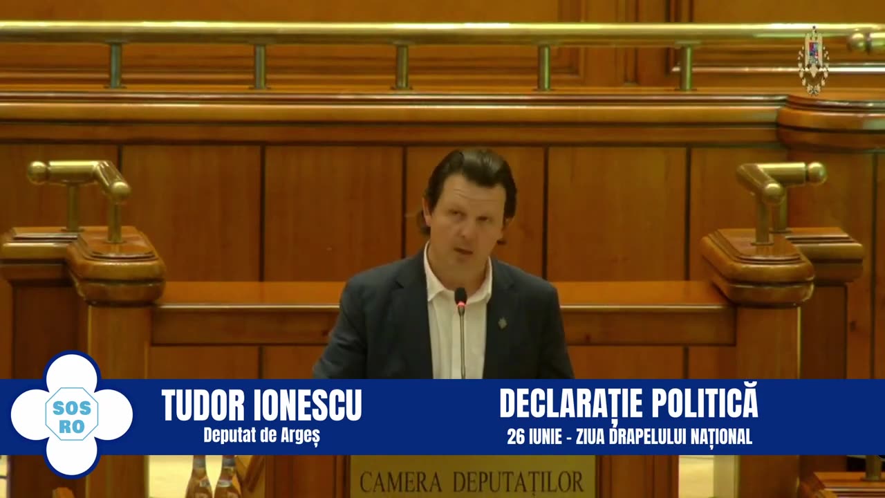 Declarație politică - 26 Iunie Ziua Drapelului Național