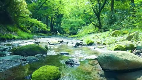 "Calming ASMR Nature Sounds for Deep Relaxation – Gentle Forest, Rain & Water Ambience"