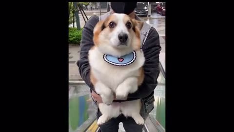 You'll feel better after watching this!