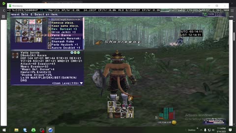 Playing Final Fantasy XI Online