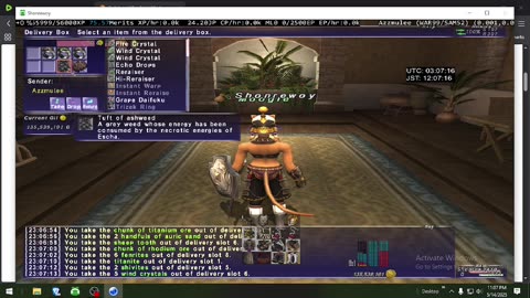 Playing Final Fantasy XI Online