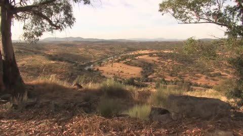 Iberia's Wild Border Free Documentary Nature