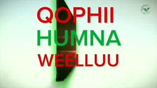 Qophii Humna weelluu ONM-ABO Adoolessa 30-2025 itti dhiyaadhaa!