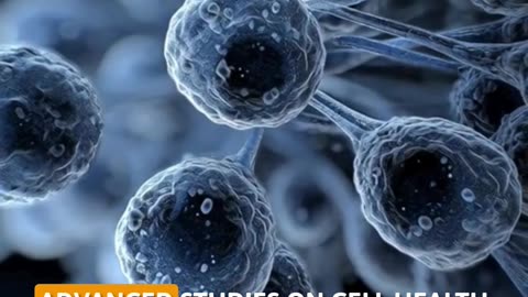 Harvard: Fat Cells Suffocate After 40 – How I Fixed Mine in Weeks