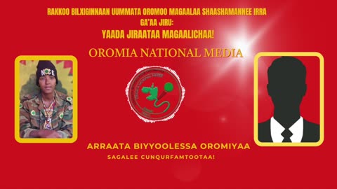 ONM-ABO Adoolessa 24-2025 itti dhiyaadhaa!