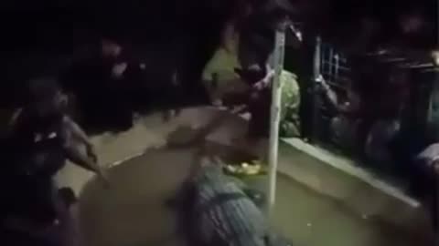 🐊😂 You Won't Believe How Close He Got to a Crocodile! | FunFM
