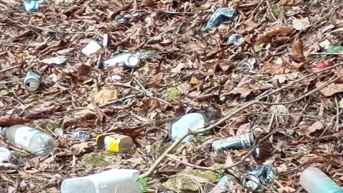 27.4.2025 Rubbishtown