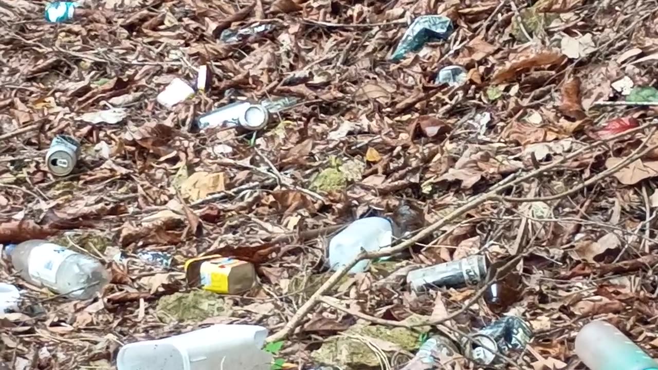 27.4.2025 Rubbishtown
