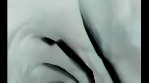 Shark swallows diver's camera and captures video 🤯inside the Shark's body!