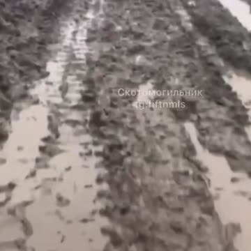 crests are drowning in feces