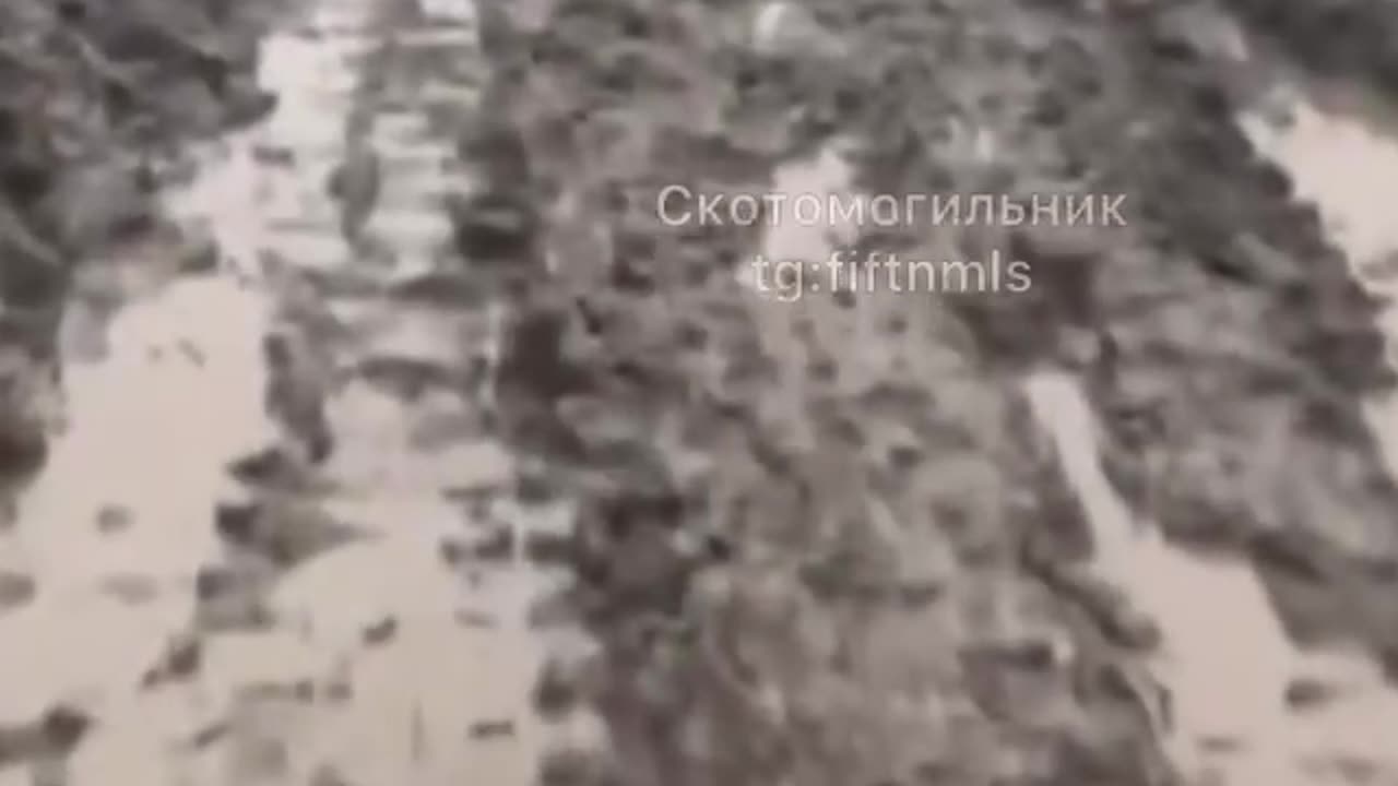 crests are drowning in feces