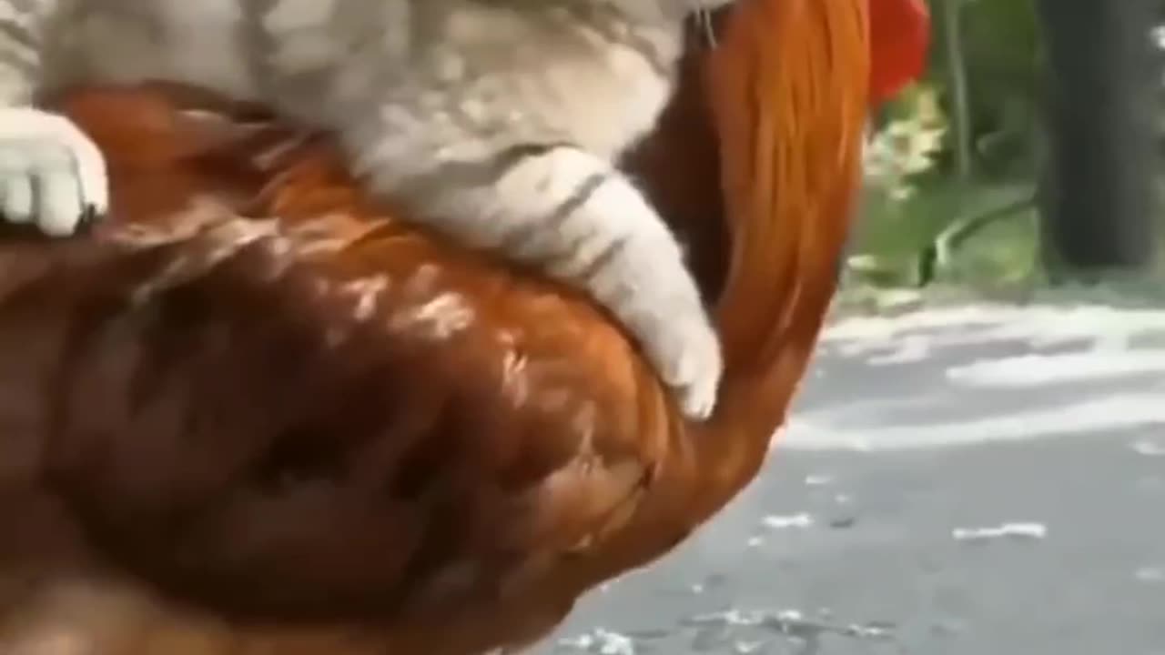 Warning: This Cute Pet Compilation Will Melt Your Heart! ⚡🐶