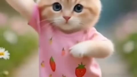• Baby Kitten Drinking Milk 🍼🐱 • Cutest Kitten Ever! 😍🐾 • Tiny Kitten, Big Cuteness ❤️