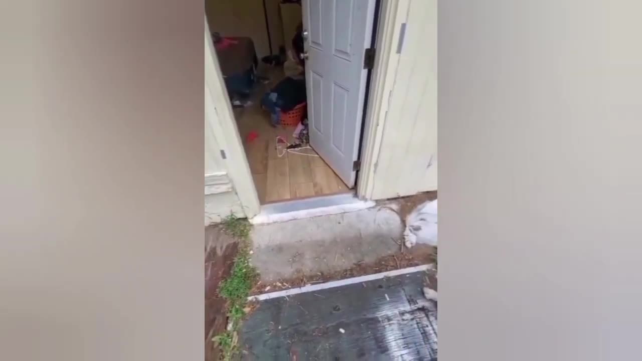 TRY NOT TO LAUGH 😆 Best Funny Videos Compilation 😂😁😆 Memes.