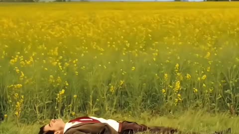 Holiday: A Stranded Bean Is A Sad Bean| Mr Bean’s Holiday | Classic Mr Bean