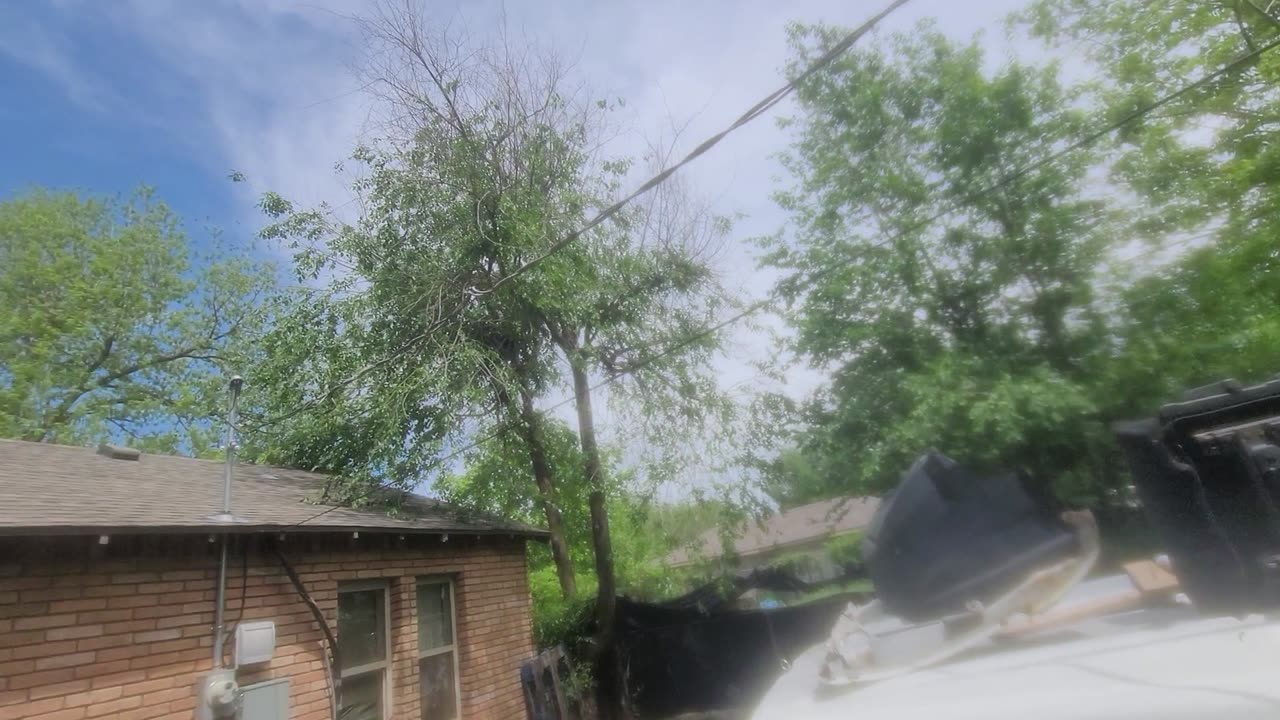 LOOK HOW GREEN IT IS.