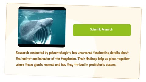 Is The Megalodon "Bull "or What ?