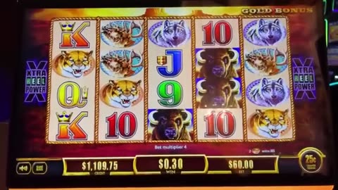 Largest Buffalo High Limit Jackpot Ever Recorded!