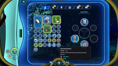 Subnautica