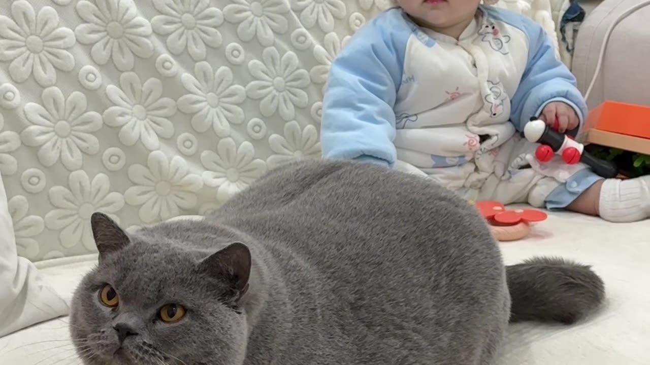 funny video in animal๐๐๐