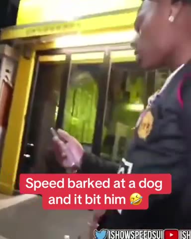 Tarantula Head Negro with Earrings Barks at Dog and Gets Bitten! 😂👍