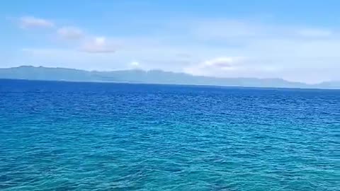 A little piece of paradise....