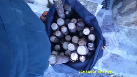 Far Legna In Inverno (Giorno III°) [2 Febbraio 2024]