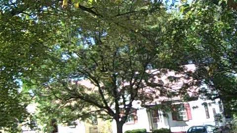 brace st. property for jason on the shea show