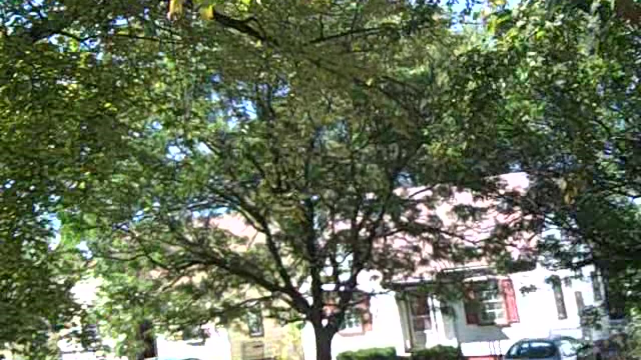 brace st. property for jason on the shea show