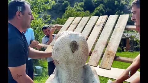Delicious Ostrich Barbecue