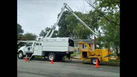 Alvarez Tree Service